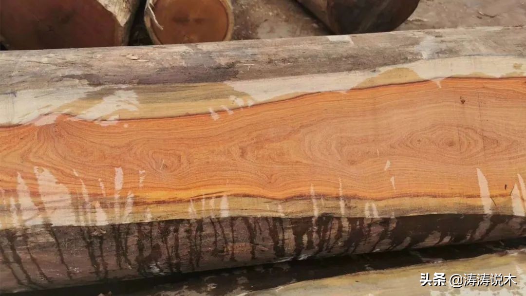 非洲名贵木材—大叶红檀最佳入手时机