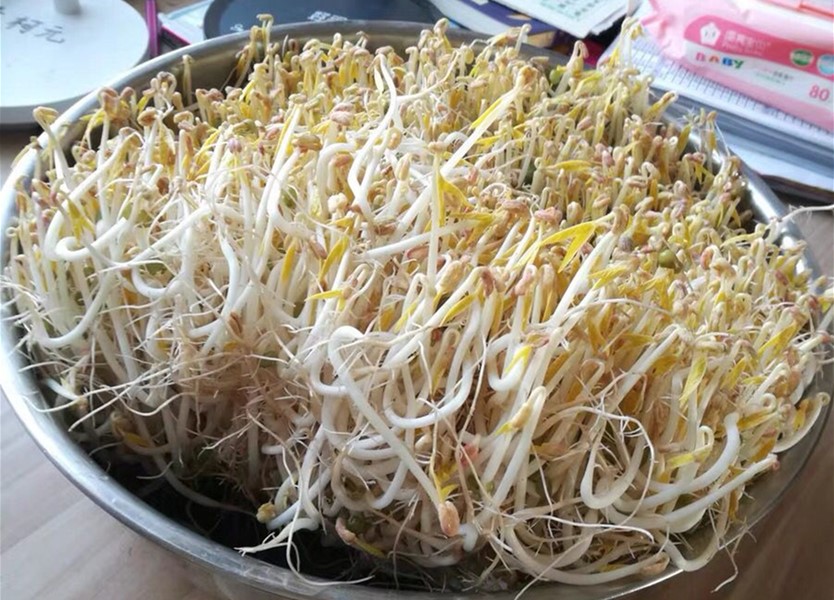 想吃豆芽自己生,想吃豆芽自己动手
