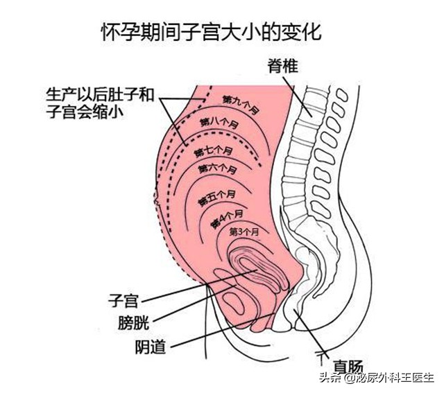 女人切除子宫后身体会有4种变化,女人切除子宫对生活有影响吗