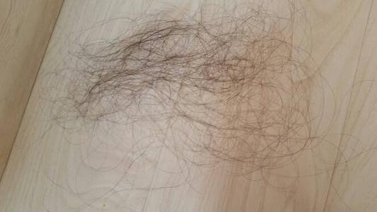 头发太长会吸取养分吗,头发太长会吸收脑部营养吗