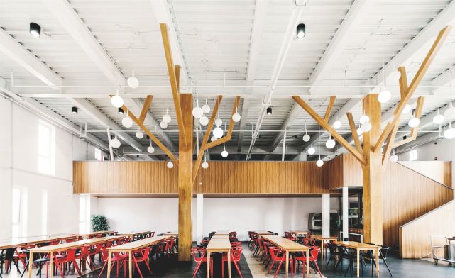 西安丹青易考美术学校联系方式,西安丹青文化课培训学校