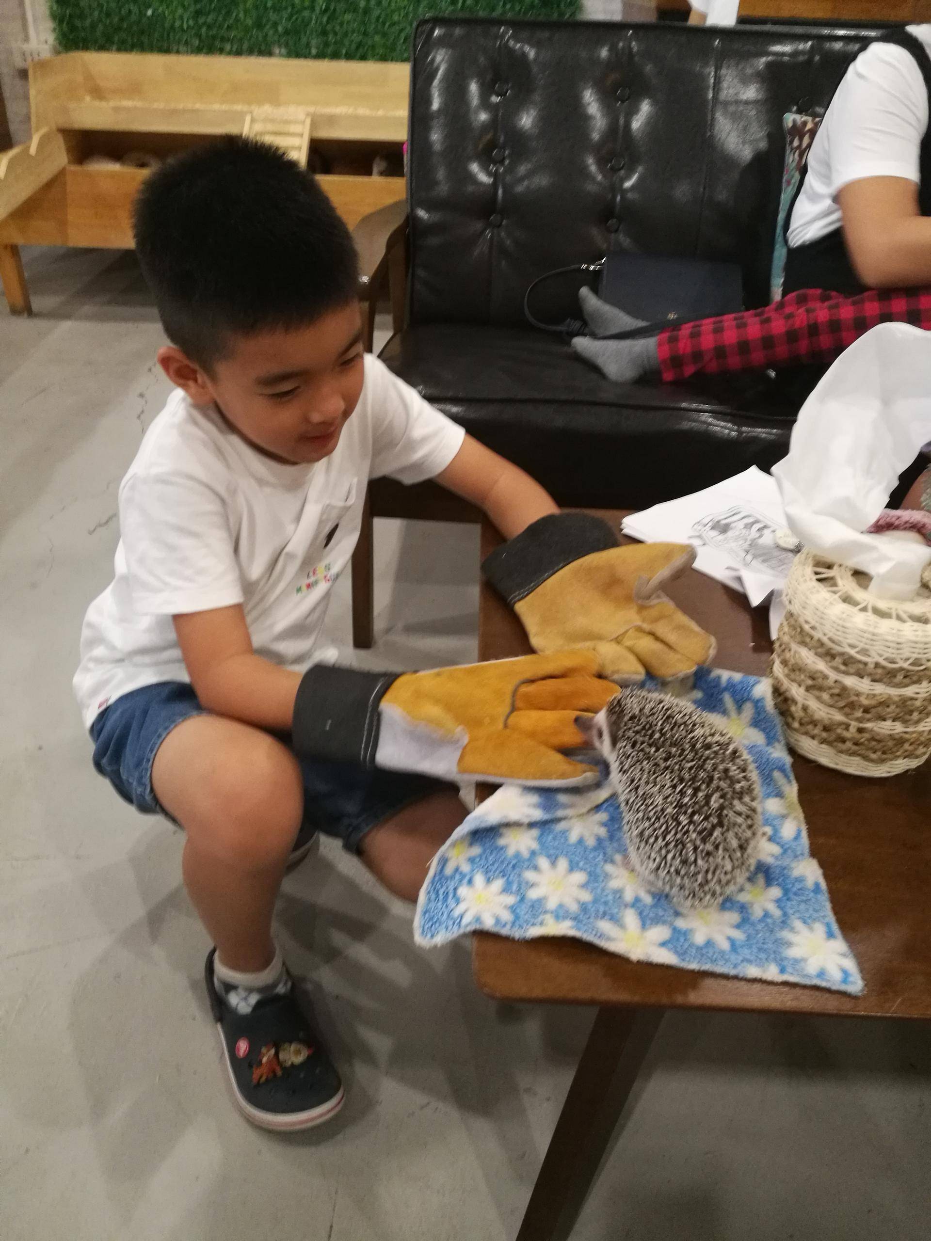 泰国游玩需要注意什么,泰国曼谷五月份游玩