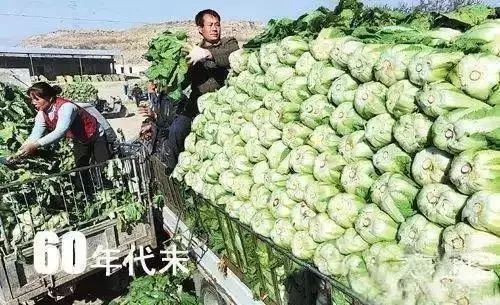 在上海一个月工资两万什么水平,月薪不过3万的看过来