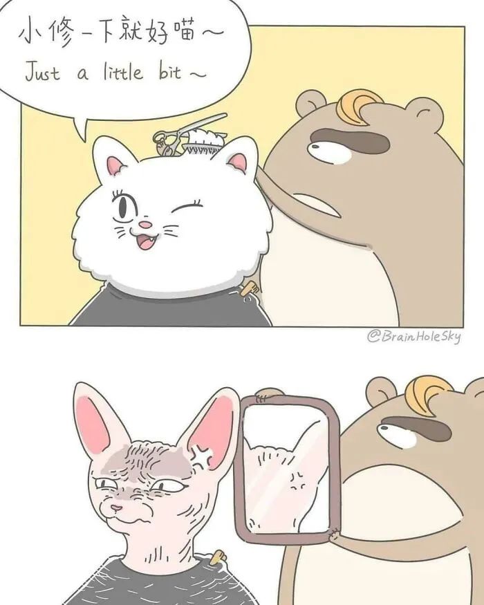 幽默四格漫画100幅图,20幅幽默的漫画