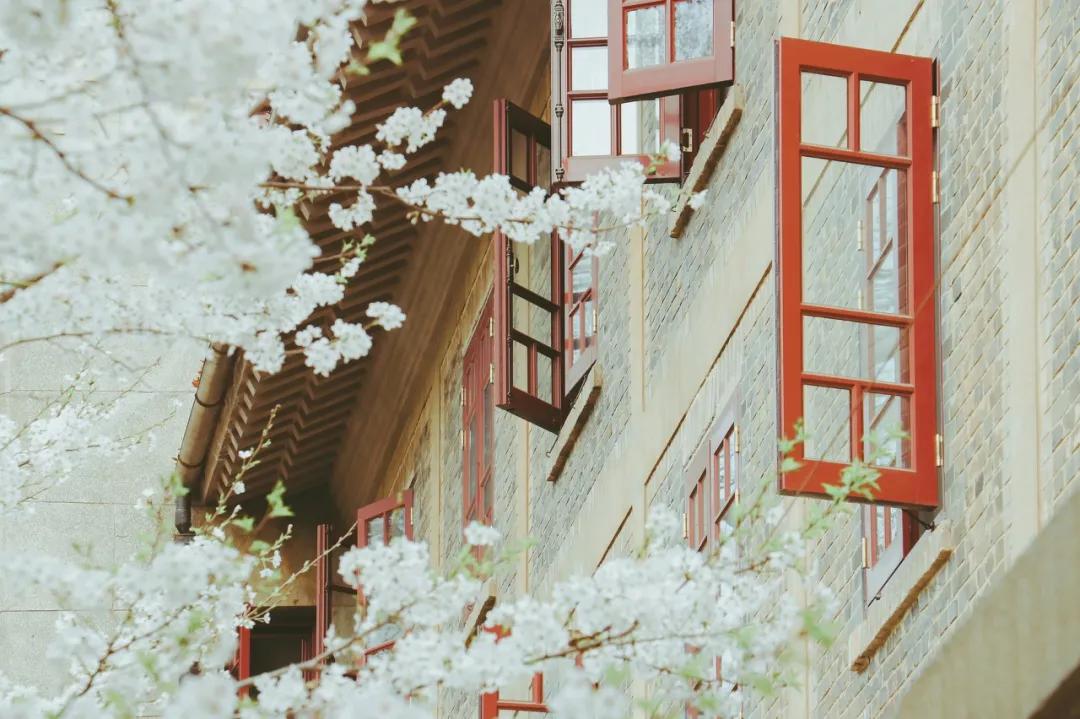 武汉开学震撼画面,夏季的武汉大学风景