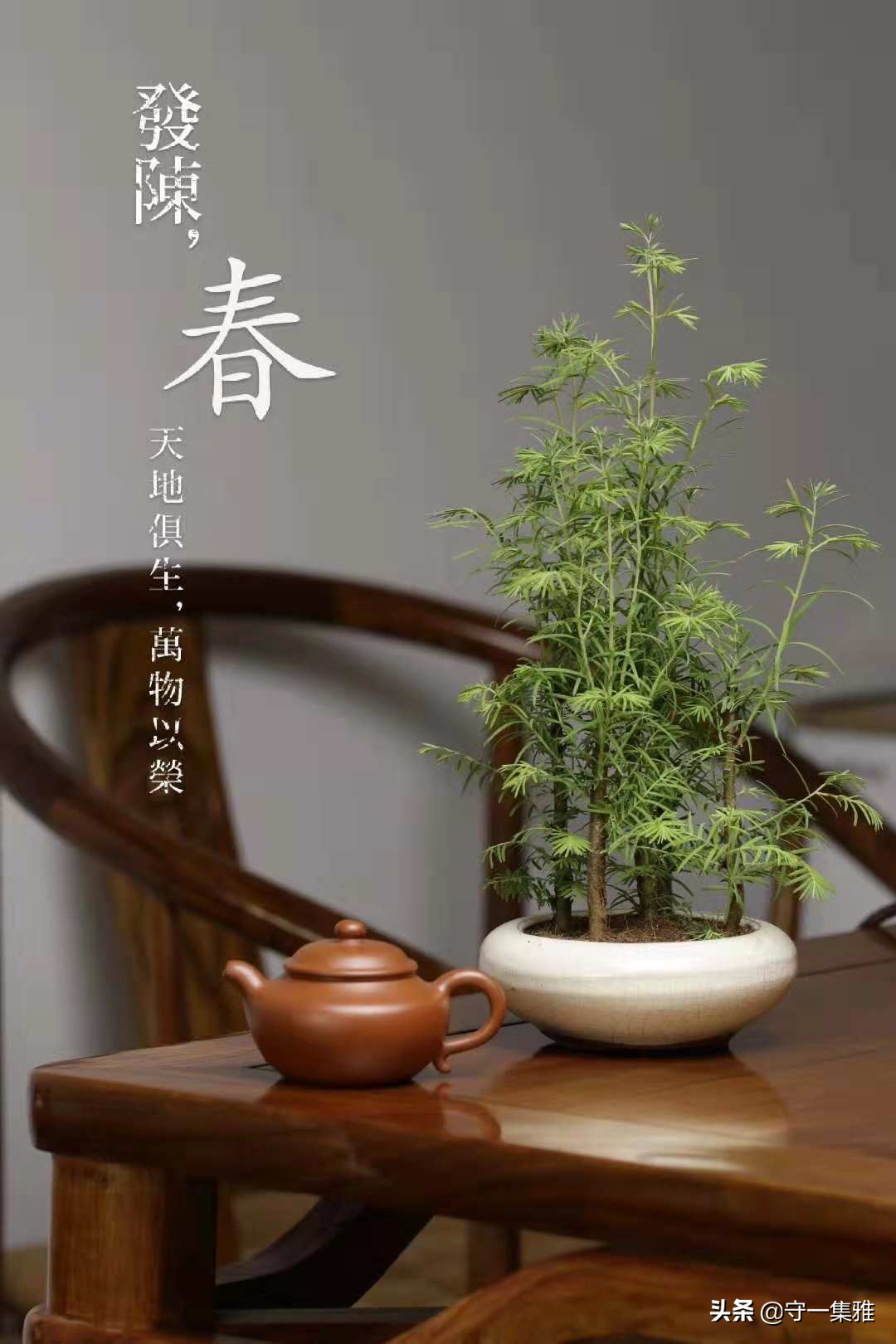 轻连载·紫砂慢生活丨（六）生活，喝一壶随缘的茶汤
