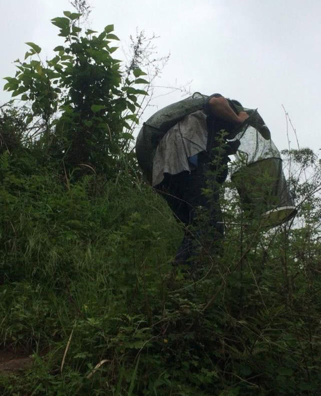 又到钓鲫鱼的季节,冬季钓鲶鱼的最佳时间段