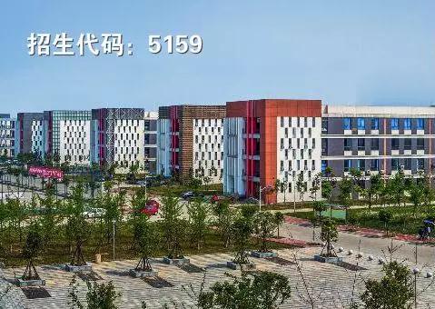 专科也能上名校,专科也可以教中职吗