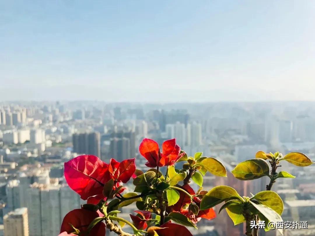 感受云端视觉震撼,感受云海的震撼