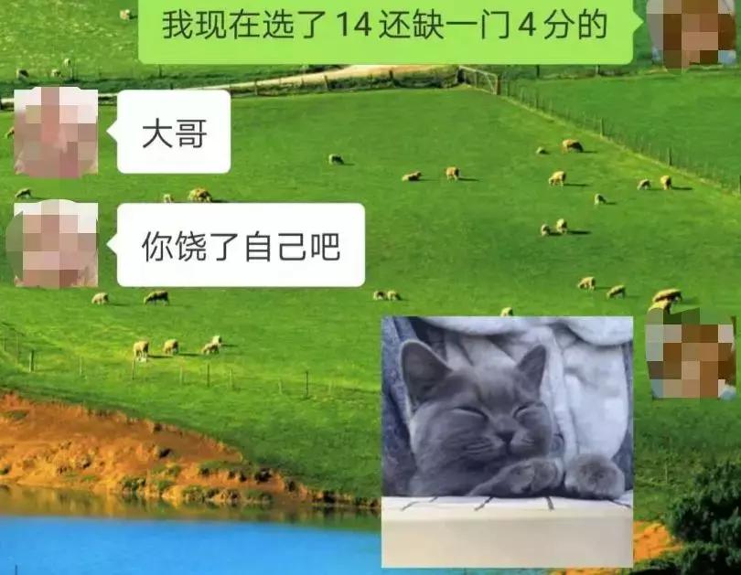 “冒牌”的留学生，识货的HR