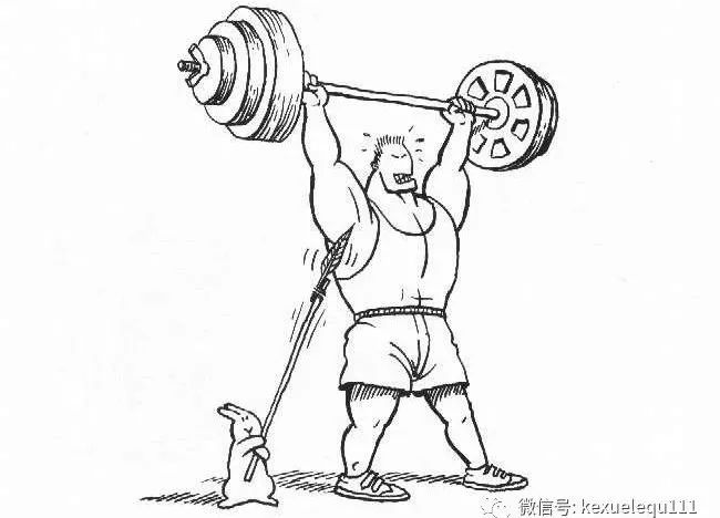 杀死一只兔子的预兆,杀死兔子的方法