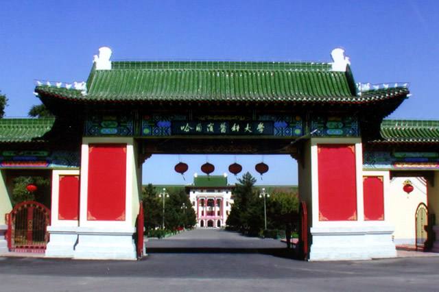 黑龙江省的211院校都有哪些,黑龙江部属院校和省直属院校区别