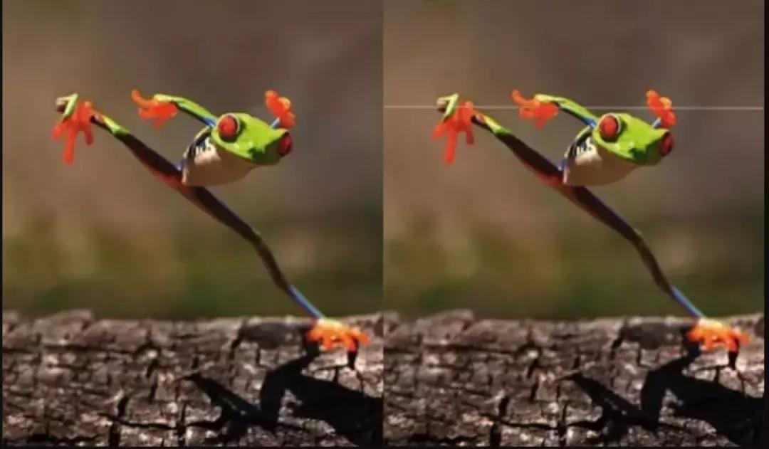 被囚34年取精，被迫亲手杀死爱子，最后只能挣扎着死去……