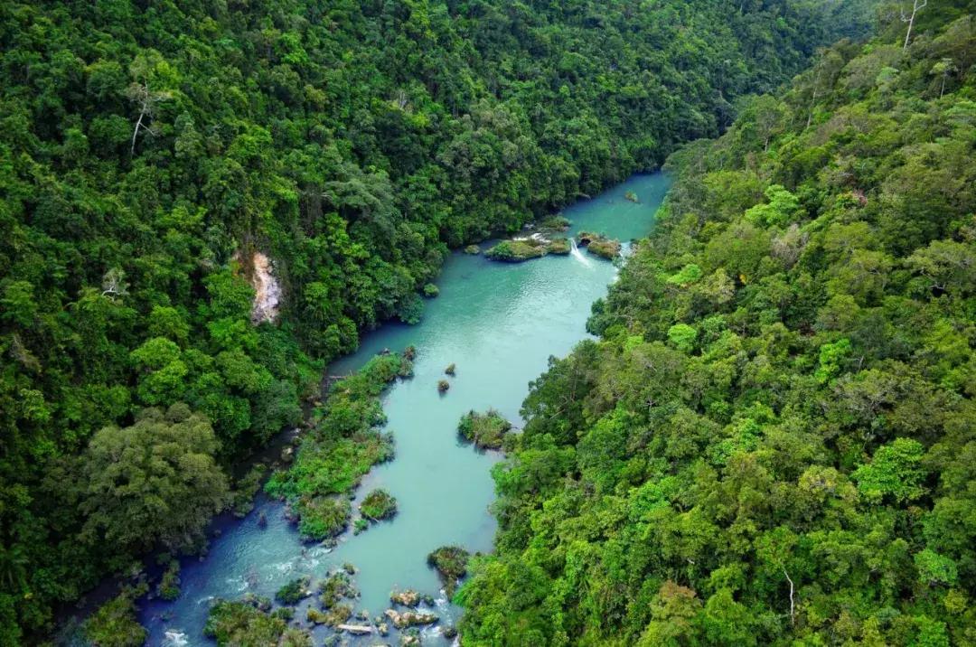 亚航怎么订特价票,亚航大促抢票攻略大全