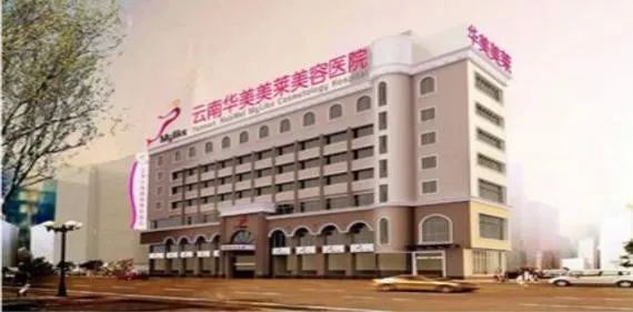 莆田系的家族名单,莆田系宗族故事