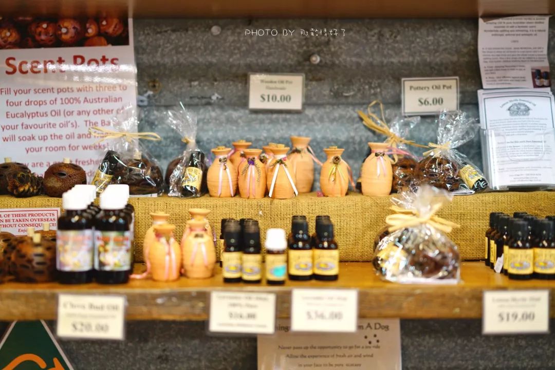 赴澳洲需要买的东西,去澳洲探亲要提供无犯罪记录吗