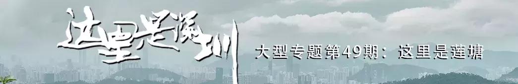 隐藏在梧桐山里的世外桃源,深山独门独户世外桃源