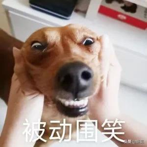 12岁腿长超出相框，因畸形审美被喷到息影，如今纯欲人设全网叫好