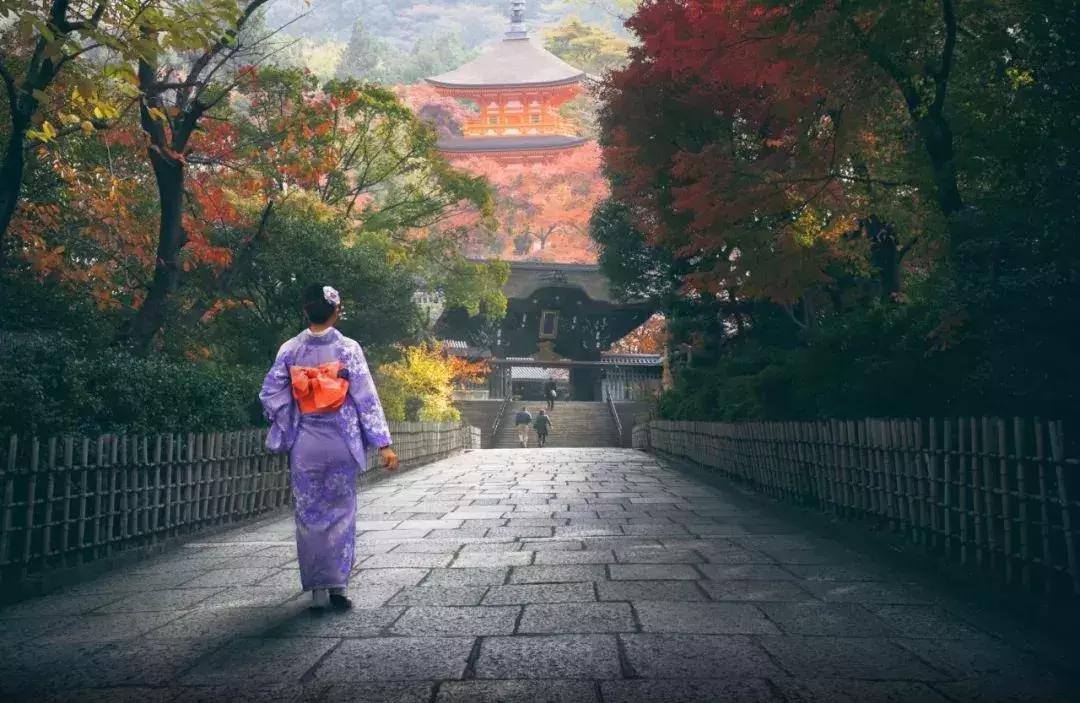 日本东京旅游攻略小众景点,日本东京小众旅游攻略