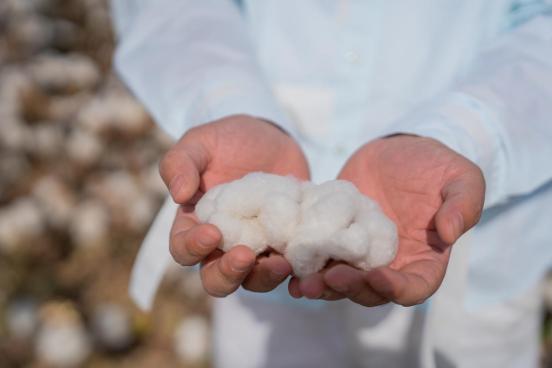 达人西游库尔勒,达人西游新疆