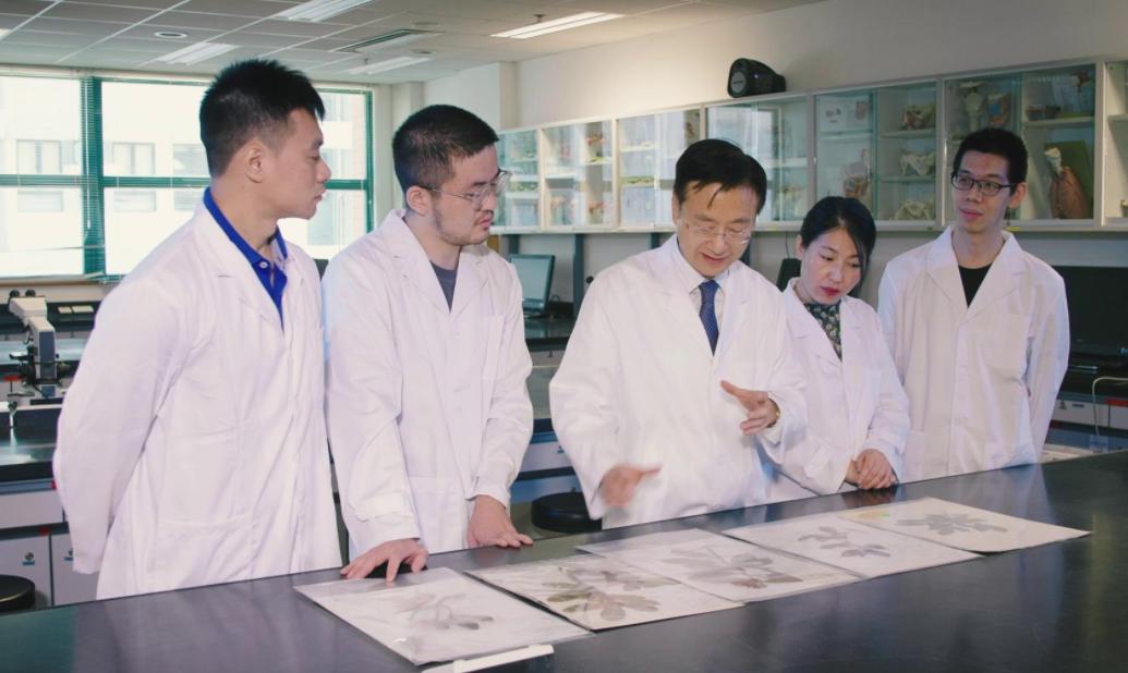 猪胆汁可以治疗糖尿病么,糖尿病足用猪苦胆能治好吗