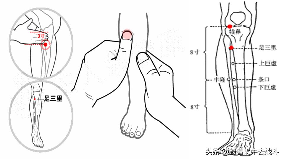 按摩胃经的正确手法和时间,按摩胃经穴有什么好处