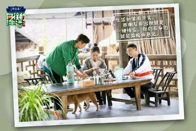 向往的生活1-6季文案,向往的生活一屋两人三餐四季文案