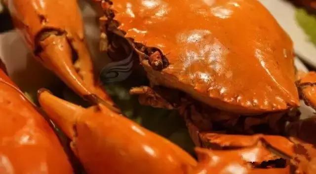 海鲜不能吃的部位,科普海鲜哪个地方不能吃