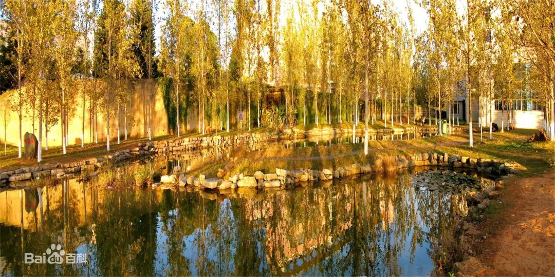 玉溪师范学院凤凰路134号乐队,玉溪师范学院的故事