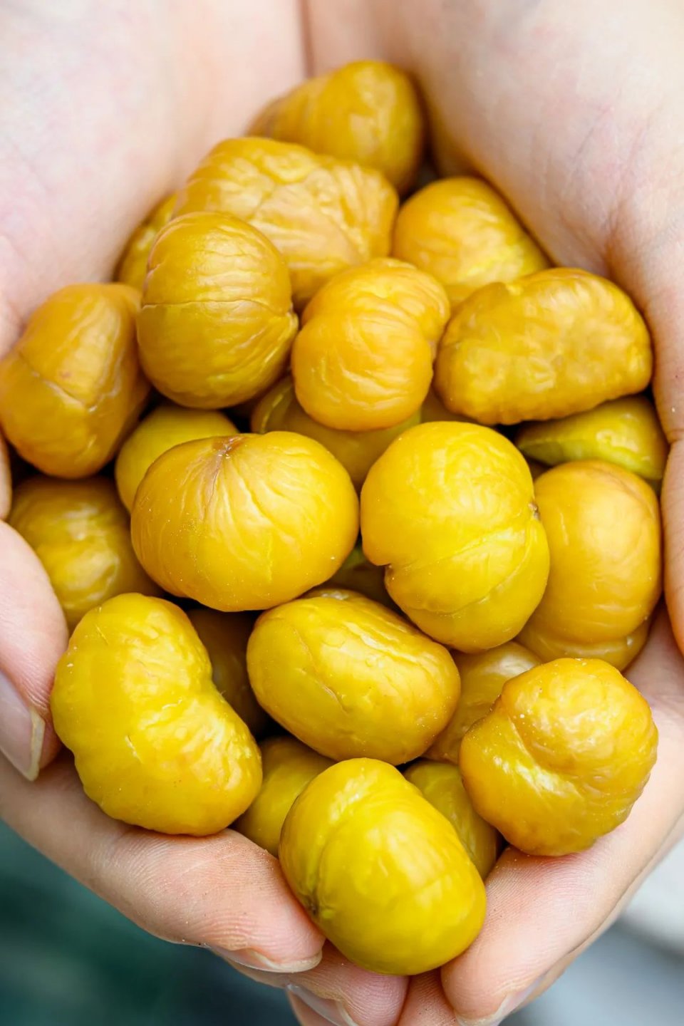 粒上皇香甜板栗,粒上皇25元现炒板栗团购价15.9元