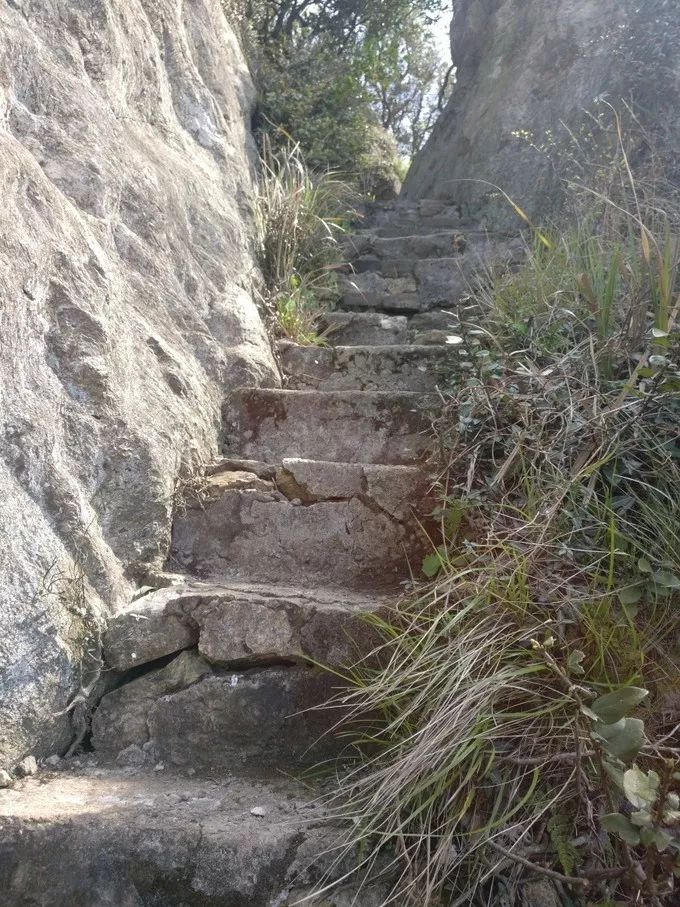 上海自驾舟山桃花岛游路线推荐,从上海去桃花岛如何安排行程