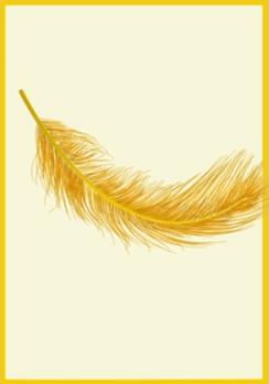 常见印刷工艺分类,常见印刷纸张分类与特性