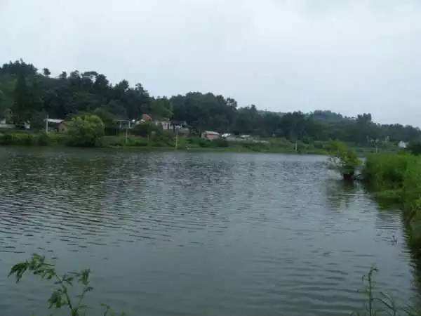 适合新手入门不挂底钓法,鱼口好的野钓钓点