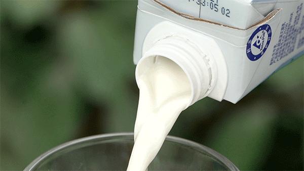 千万网红推荐的牛奶真的好喝吗,网红最好喝的纯牛奶