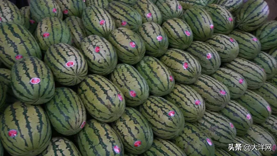 广州市水果市场热闹吗,广州市场有什么水果