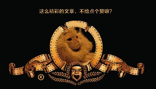 折耳狸花价格,外国一般狸猫花多少钱可以买到