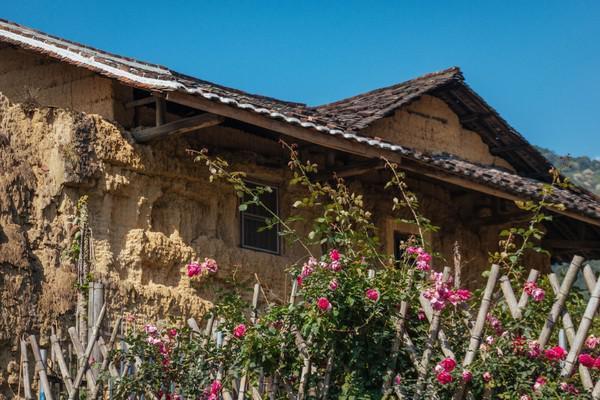 福建云水谣古村,福建云水谣古镇榕树