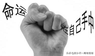 性格决定专业，你的大学专业读对了吗？最全的专业指导