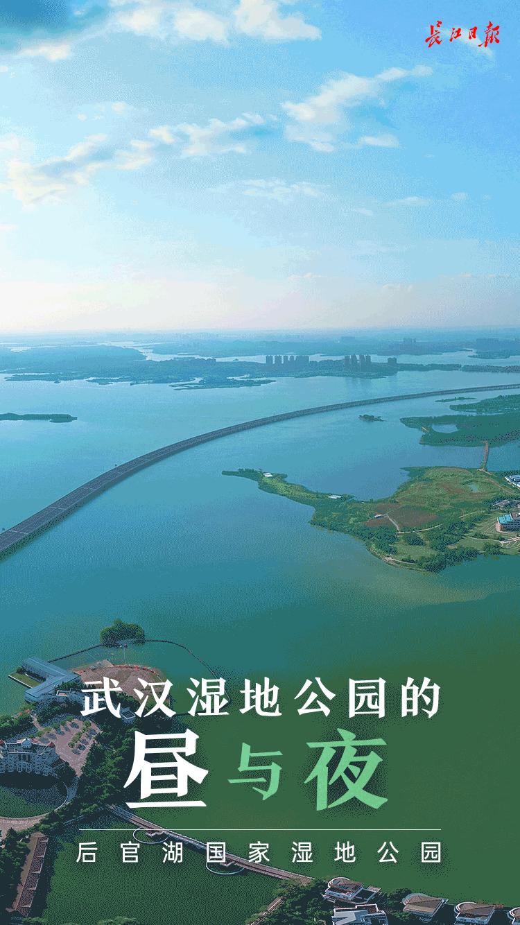 武汉江夏藏龙岛湿地公园美景图,武汉藏龙湿地公园