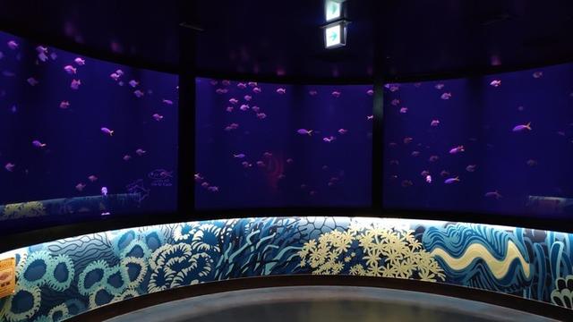 景点打卡日本名古屋乐高公园,日本名古屋乐高公园