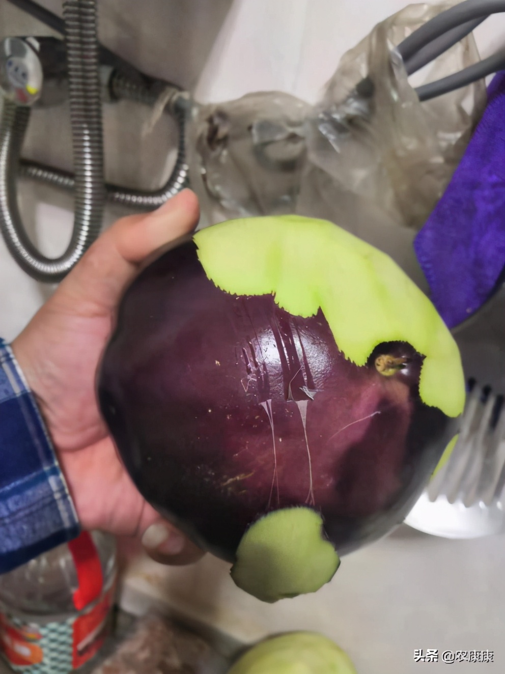 茄子削皮之后是白色还是绿色 (茄子要加保鲜膜吗)