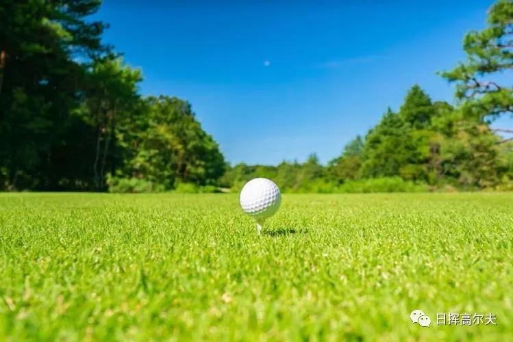 高尔夫球基本知识,高尔夫球的知识