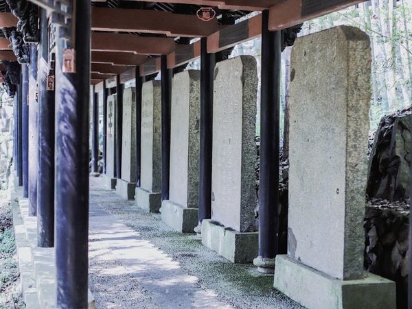 桐庐夜游富春山居景区,桐庐富春江夜游和白天游