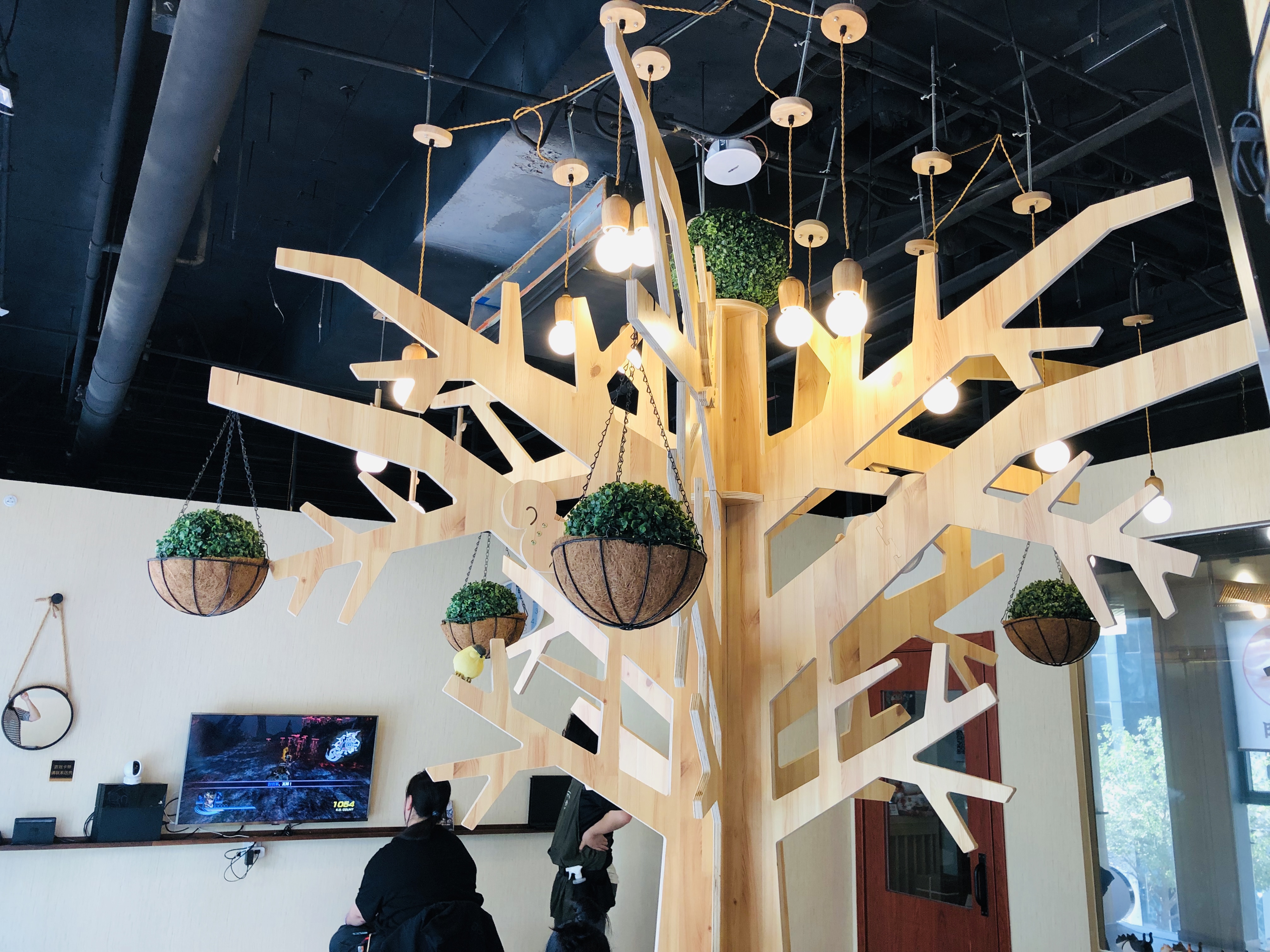 猫咪咖啡馆哪个最好,北京有名的猫咪咖啡馆