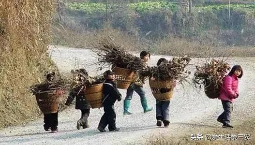 十大赚钱冷门生意,赚钱的冷门生意有哪些