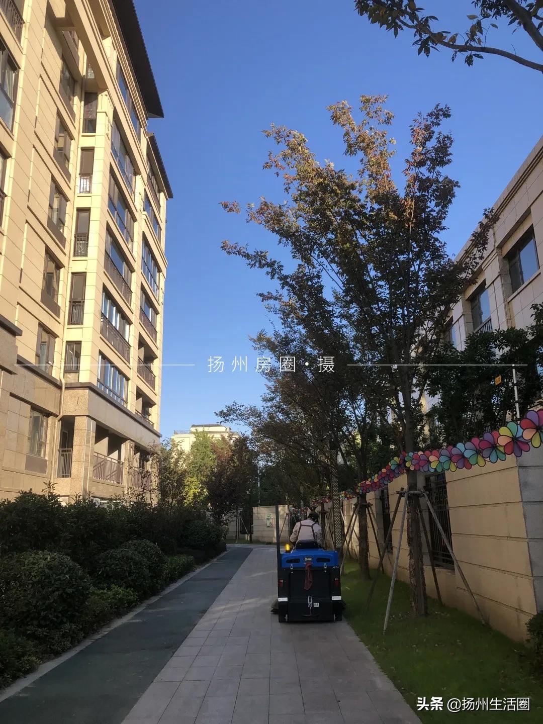 美到极致的园林景观！被扬州这个小区圈粉了！内部细节曝光