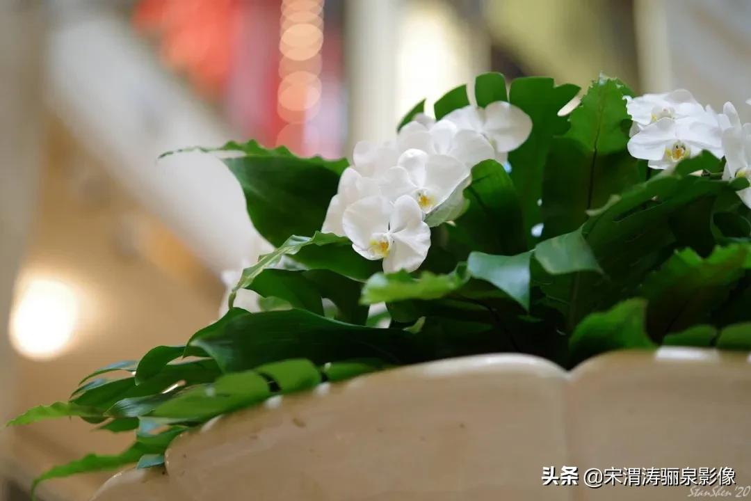 令人振奋的宾得HDPENTAXDFA*85mmF/1.4EDSDMAW