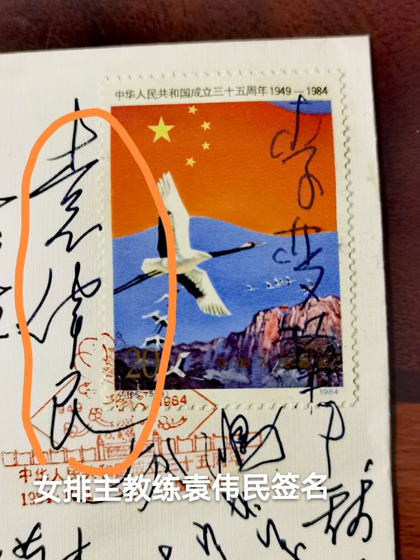 中国女排往事视频,中国女排的故事英文