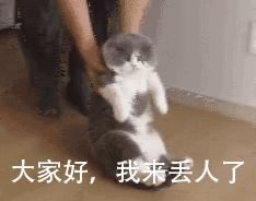 拼多多助力砍价免费拿技巧,拼多多砍价助力泄露是真的吗