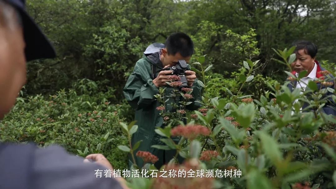 从世界地图看湖南,世界看湖南